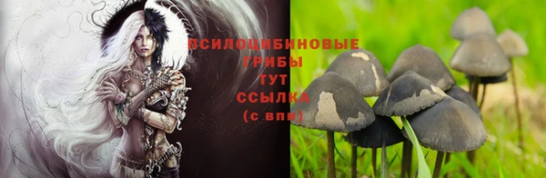 mix Переславль-Залесский