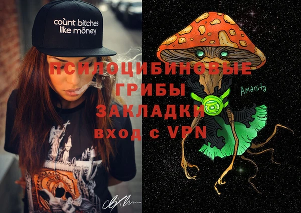 2c-b Пересвет