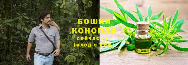 2c-b Пересвет